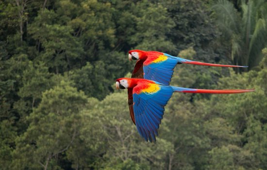 Costa Rica