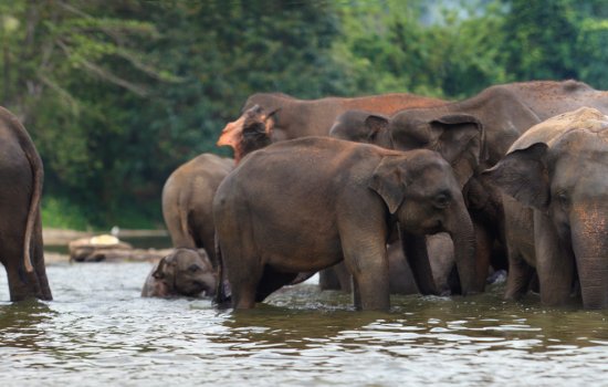 Sri Lanka