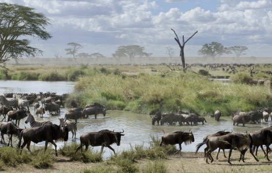 Tanzania