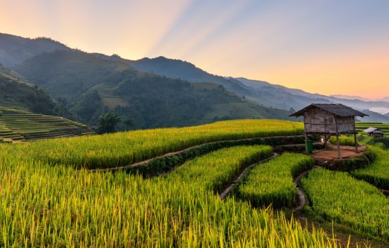 Vietnam